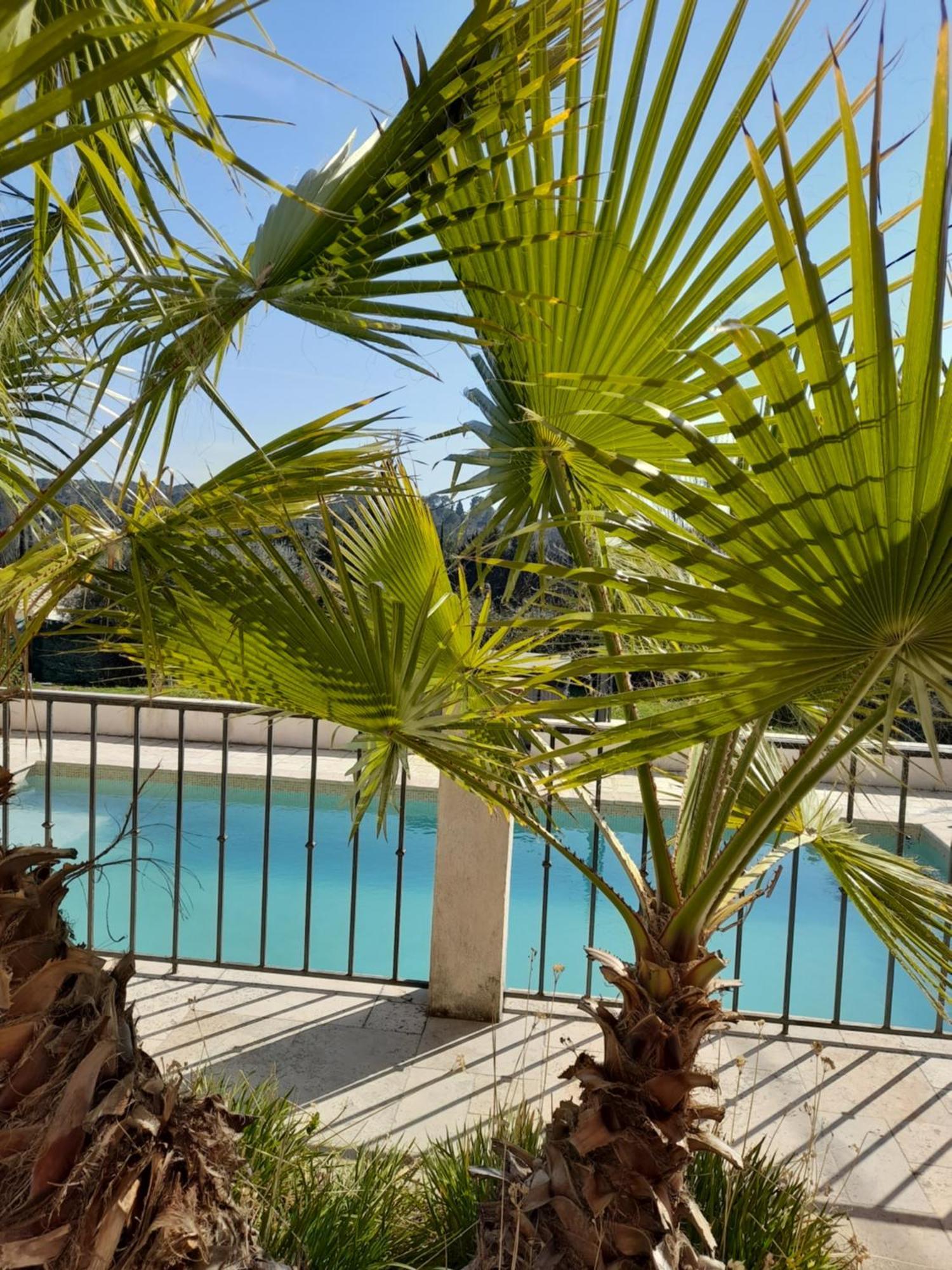 Villa Azur ロルグ エクステリア 写真