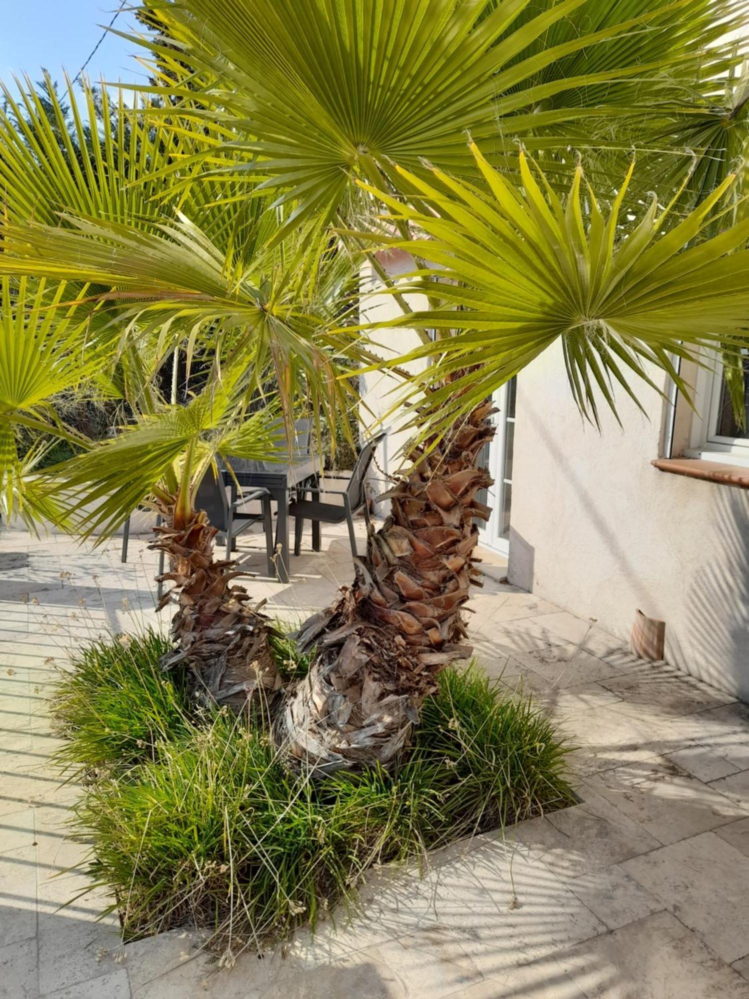 Villa Azur ロルグ エクステリア 写真