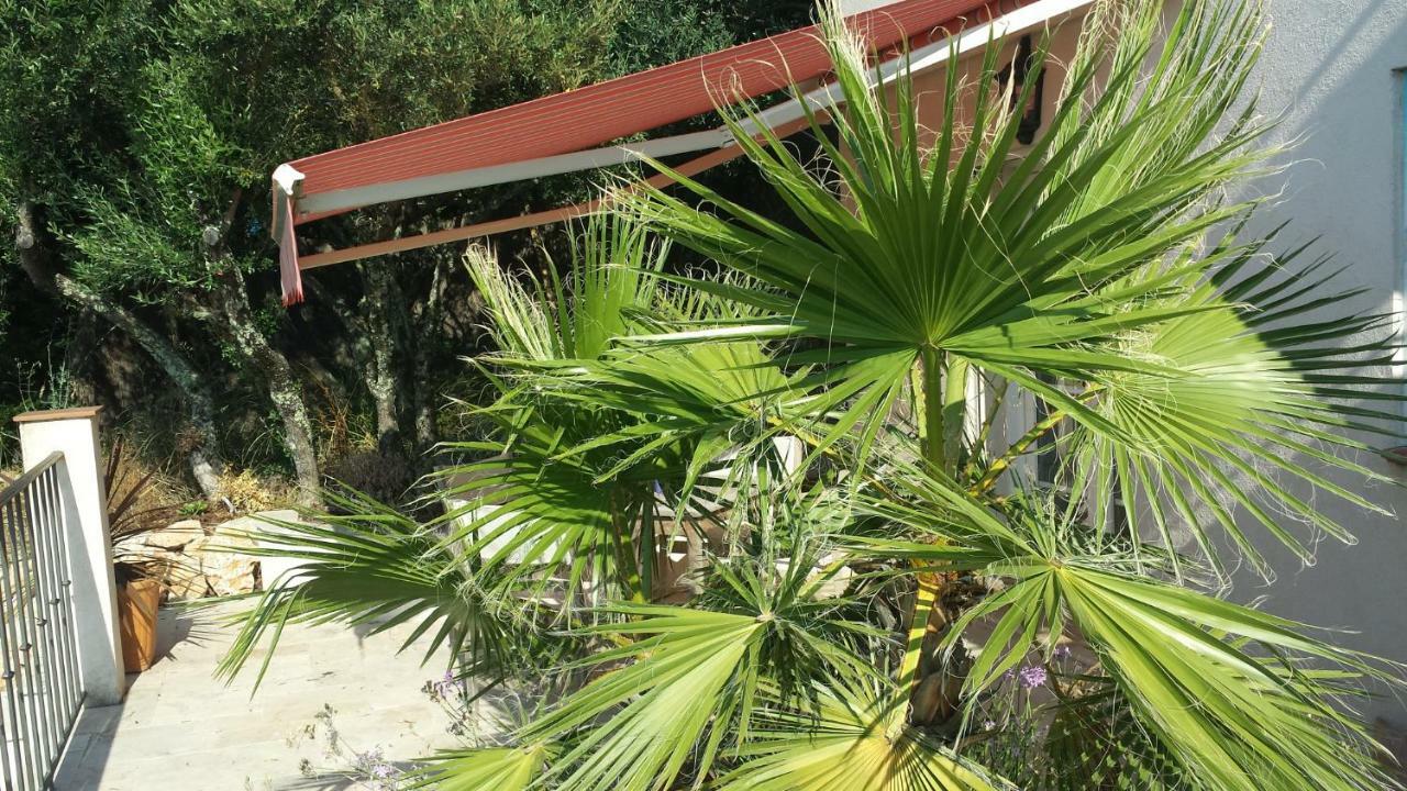 Villa Azur ロルグ エクステリア 写真